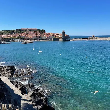 アパート Fenetre Sur コリウール